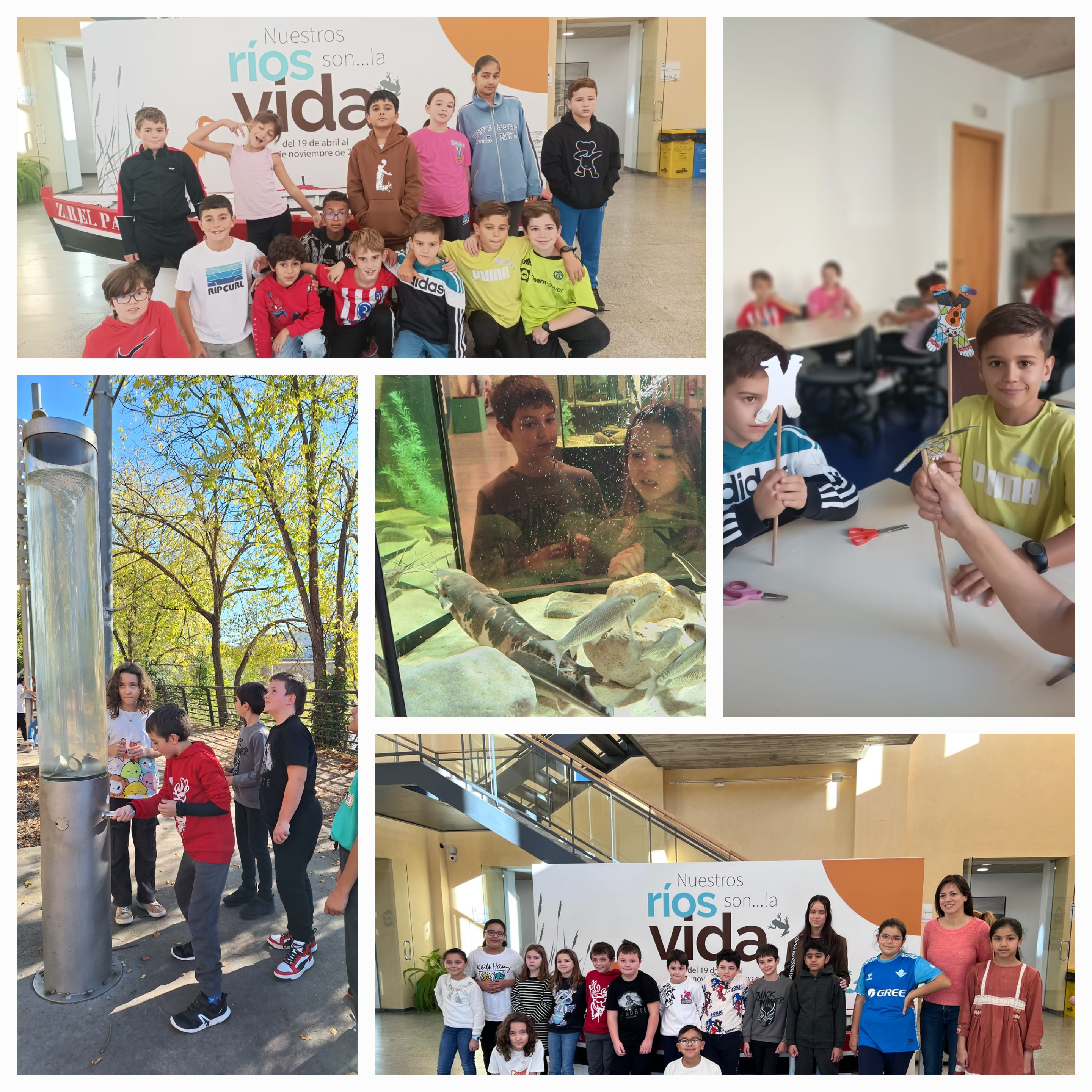 Casa de las ciencias 24