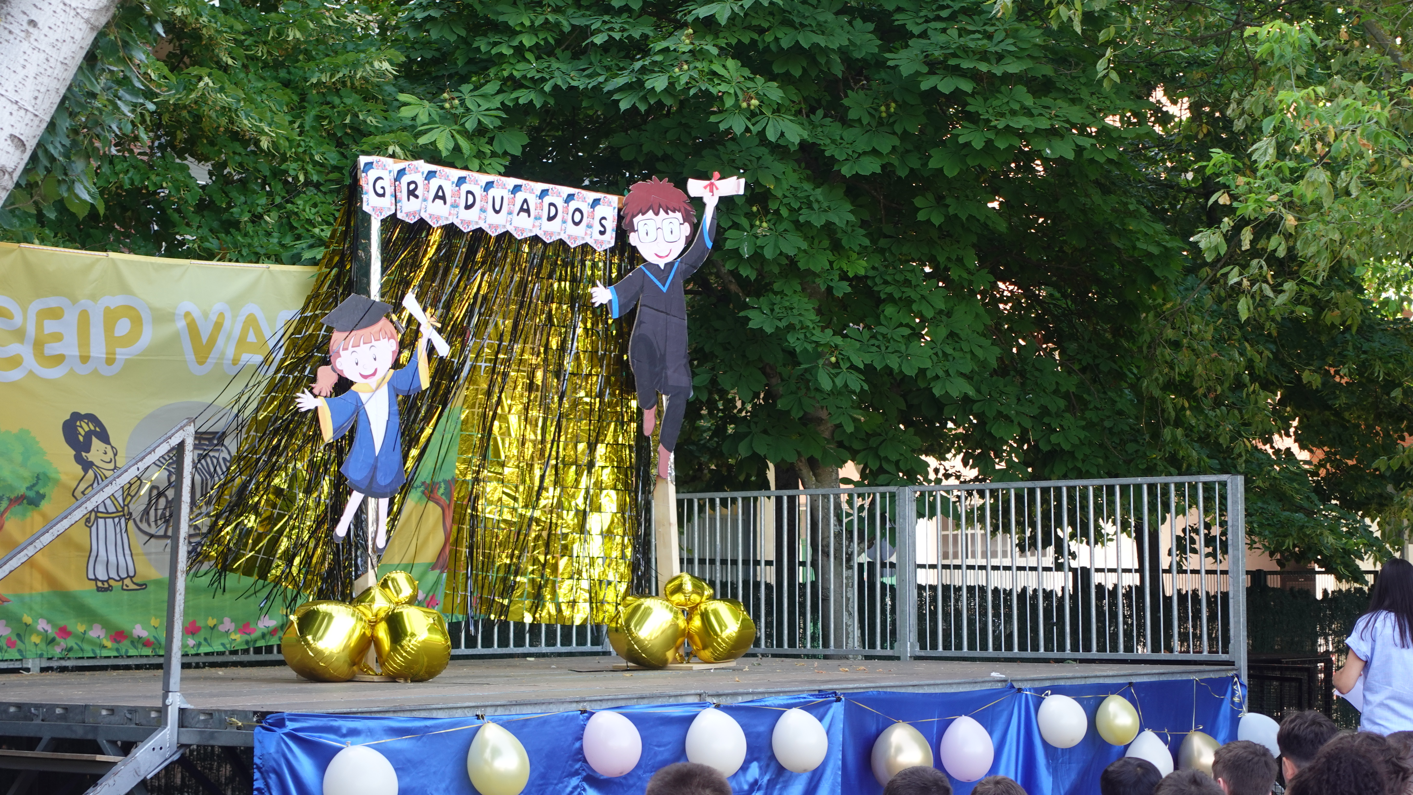 fiesta 26